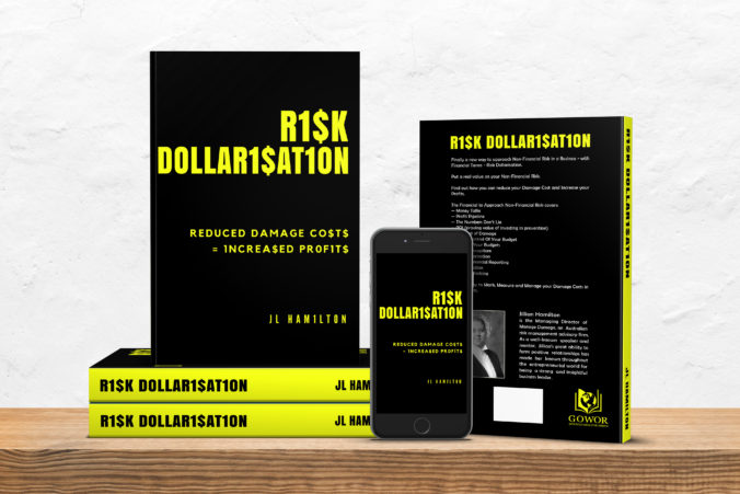 Risk Dollarisation